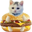 ͷ��