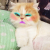ͷ��
