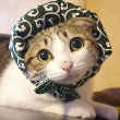 ͷ��