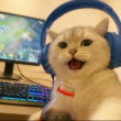 ͷ��