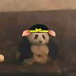 ͷ