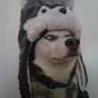 ͷ