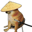 ͷ��