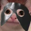 ͷ��
