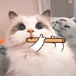 ͷ