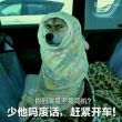 ͷ��