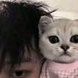 ͷ