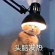 ͷ