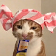 ͷ