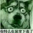 ͷ��