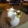 ͷ��
