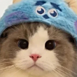ͷ