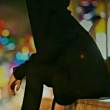 ͷ