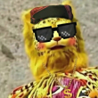 ͷ
