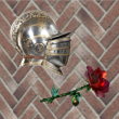 ͷ