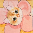 ͷ