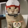 ͷ��