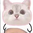 ͷ