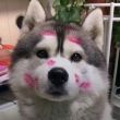 ͷ��