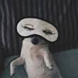 ͷ