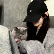 ͷ��