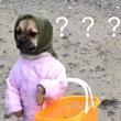 ͷ