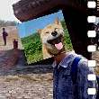 ͷ