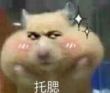 ͷ��