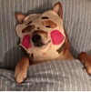 ͷ