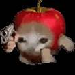 ͷ