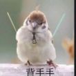 ͷ��