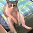 ͷ