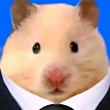 ͷ