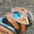 ͷ��