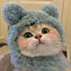 ͷ