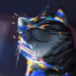 ͷ��