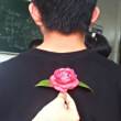 ͷ