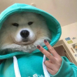 ͷ��