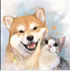 ͷ