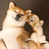 ͷ