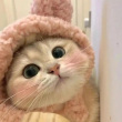 ͷ��