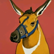 ͷ