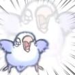 ͷ��