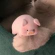 ͷ��