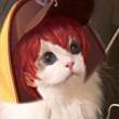 ͷ