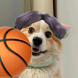 ͷ��