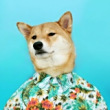 ͷ