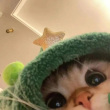 ͷ��