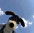 ͷ