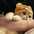 ͷ